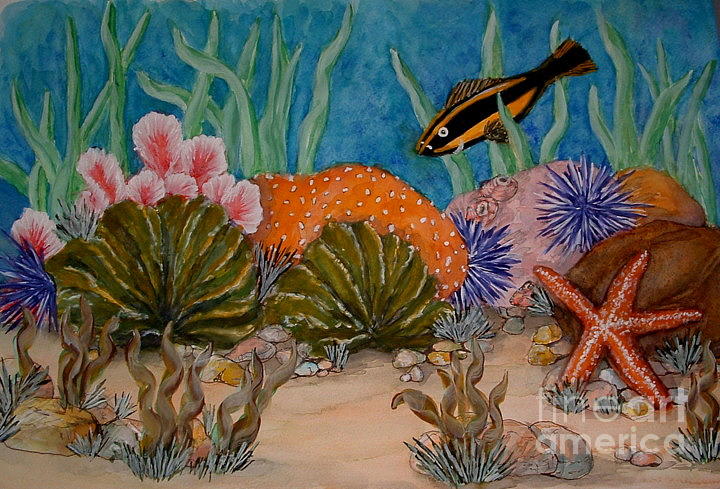 Star fish and sea fans Painting by Barbara Oberholtzer - Fine Art America