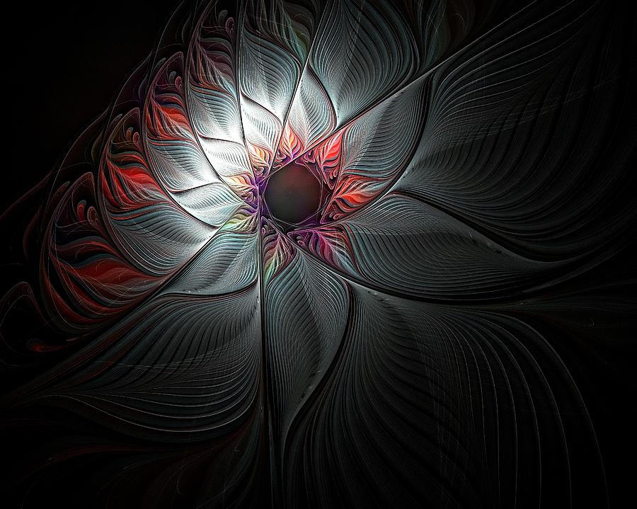 Star Flower Digital Art by Amanda Moore