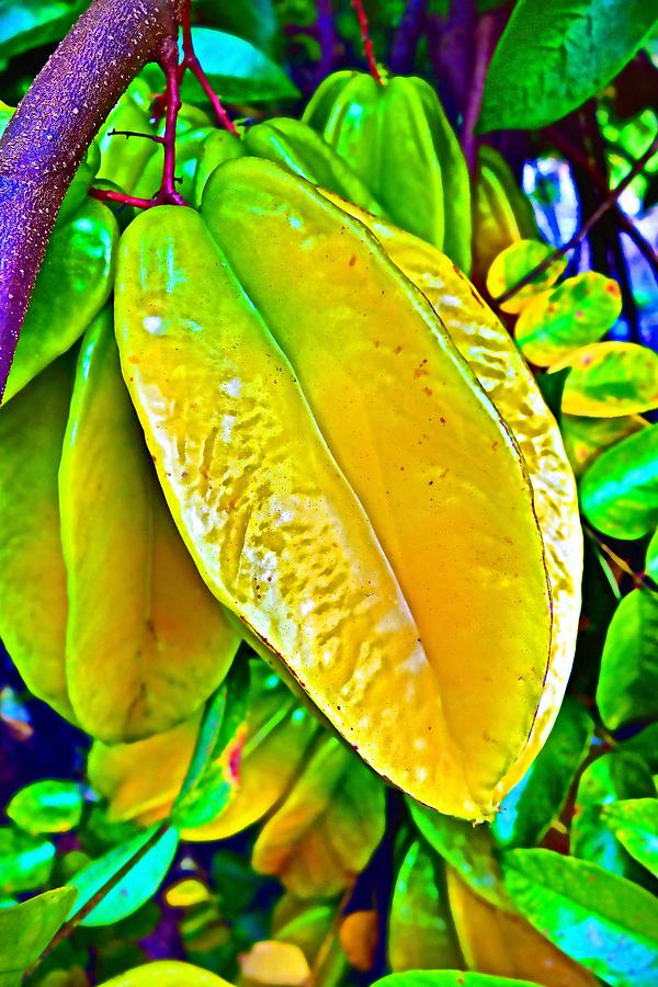 Star Fruit Photograph by Joan Reese