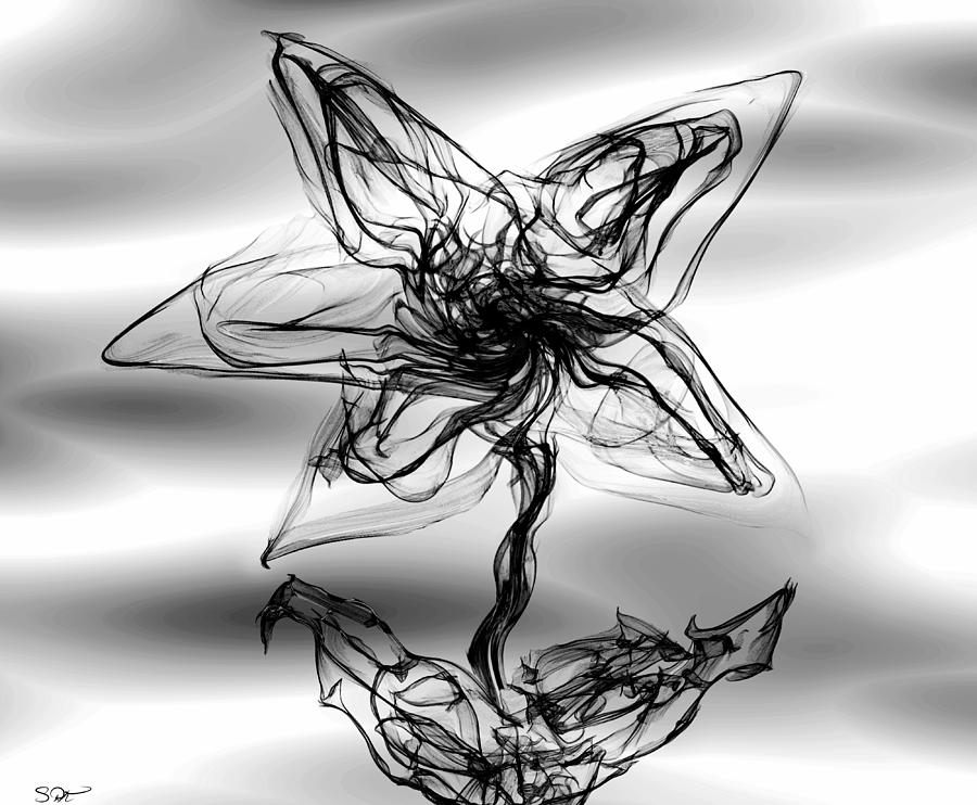 Flower Digital Art - Star Gaze with Me by Abstract Angel Artist Stephen K