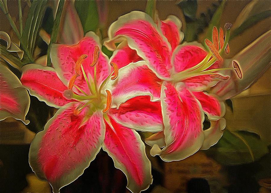 Flower Digital Art - Star Gazer Lilies by Charmaine Zoe