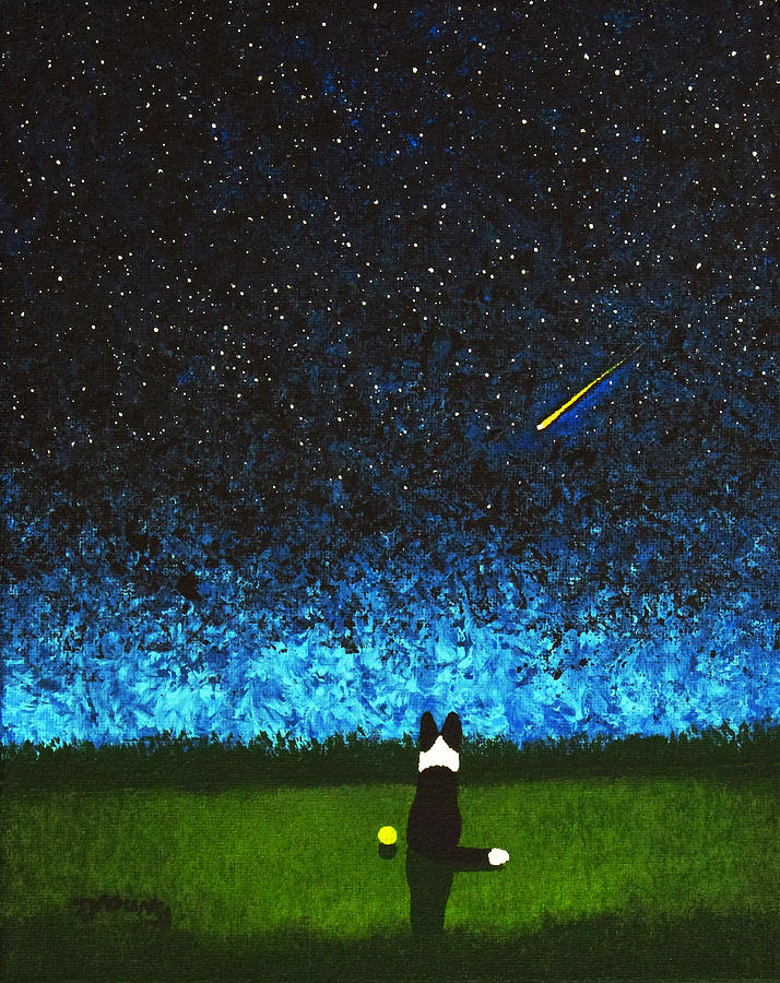Sheep Painting - Star Gazing by Todd Young