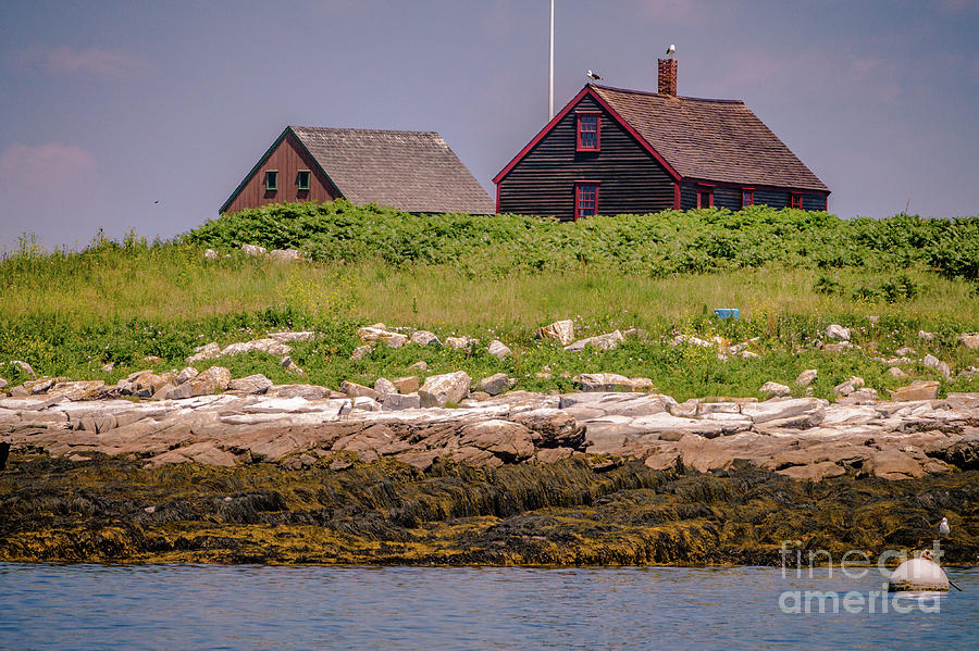 Star island homes Photograph by Claudia M Photography