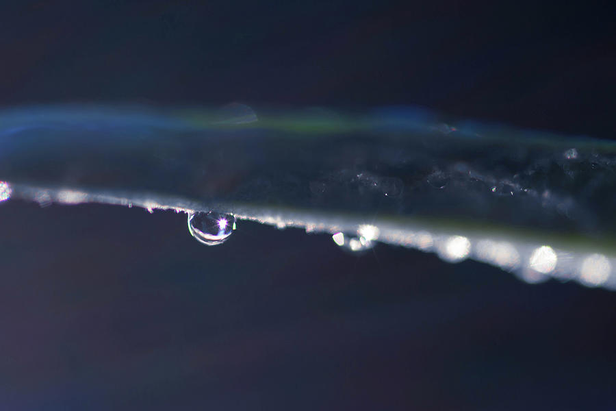Star Light Raindrop Photograph by Crystal Wightman