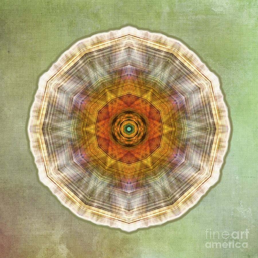 Star Mandala Digital Art by Gabriele Pomykaj