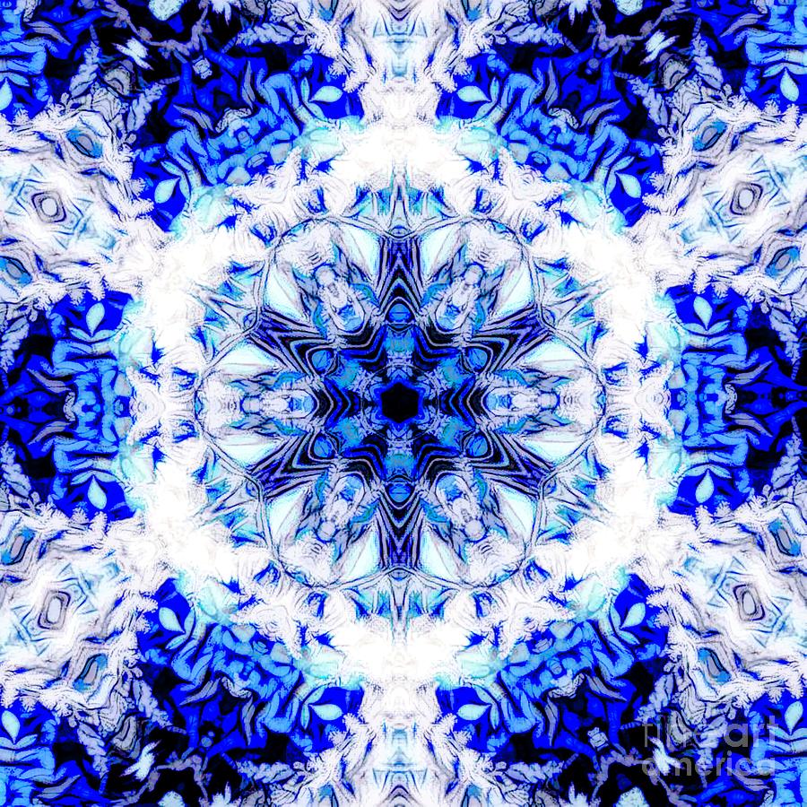 Star Of Blue Digital Art by Debra Lynch - Fine Art America