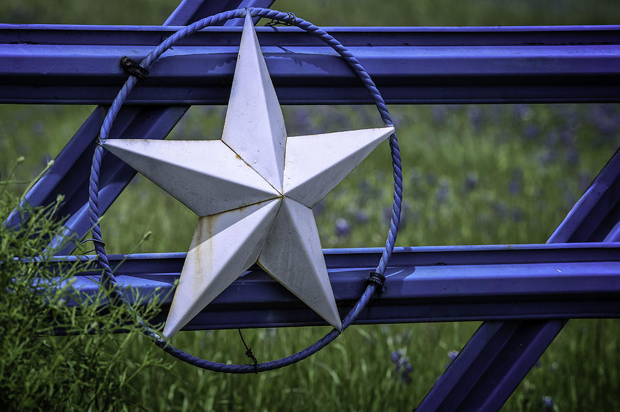 Star of Texas Photograph by Pamela Steege