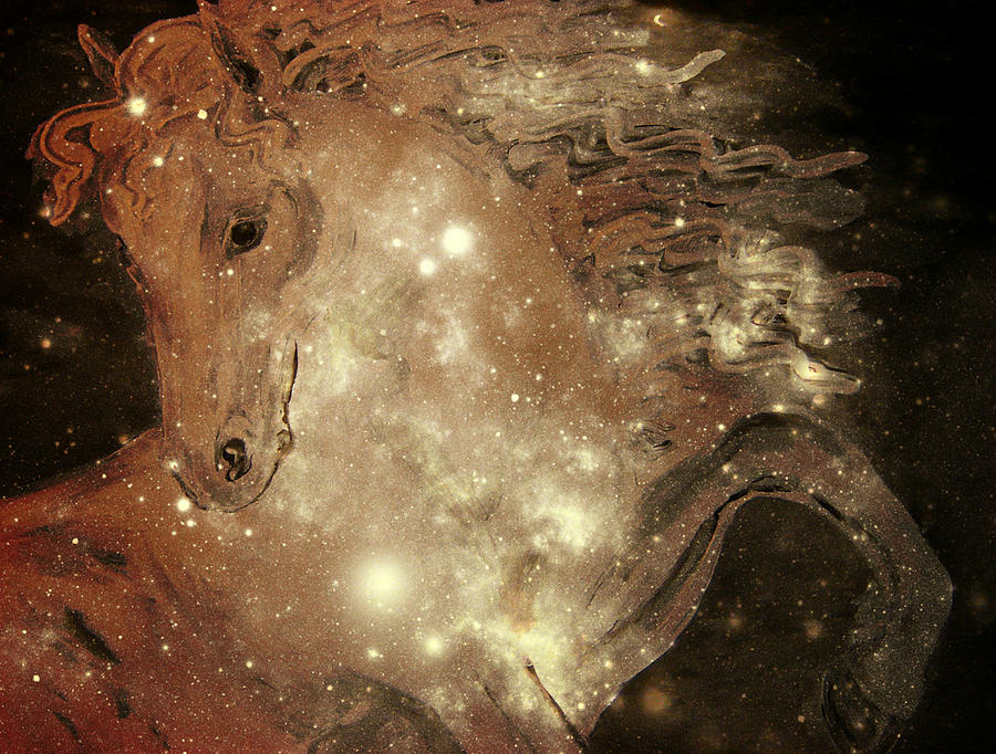 Star Of The Silver Screen by Lisa Caringi Star Of The Silver Screen by Lisa Caringi