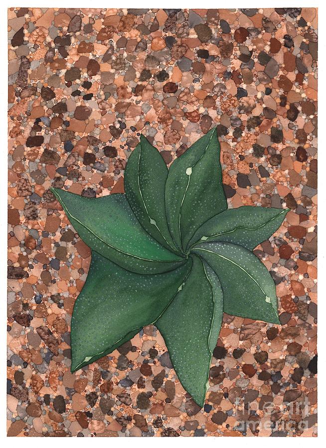 Star Succulent Painting by Hilda Wagner