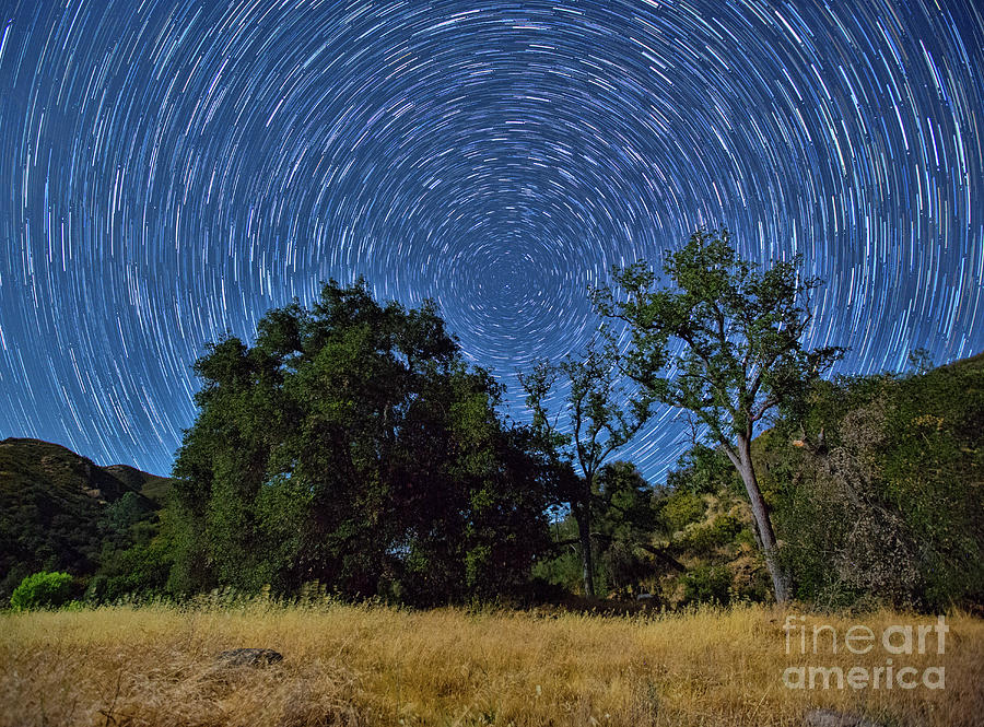 Star Trails Around Polaris Photograph by Mimi Ditchie