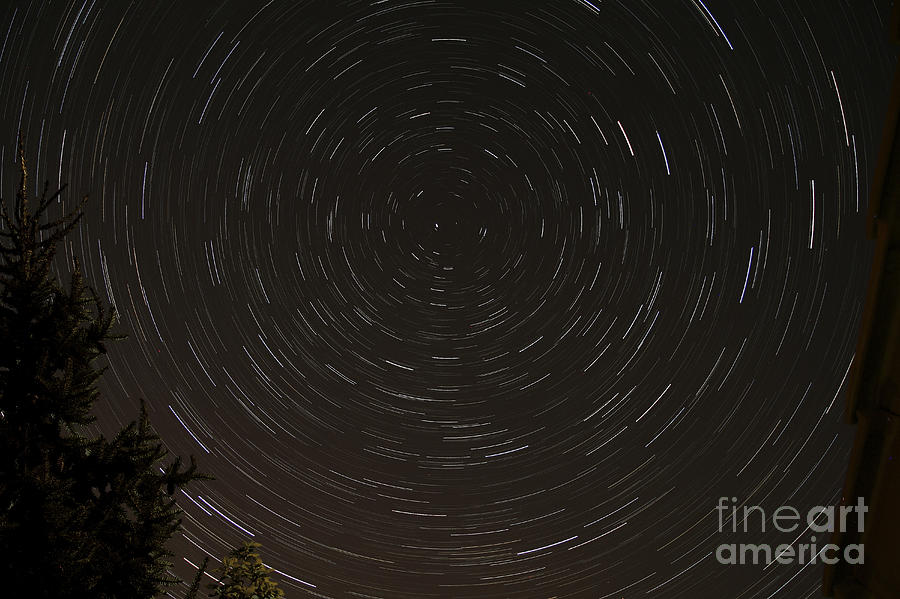 Tree Photograph - Star Trails Around Polaris by Rolf Geissinger