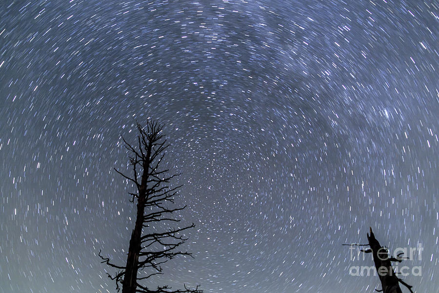 Star Trails at Bryce Canyon Photograph by Ben Graham