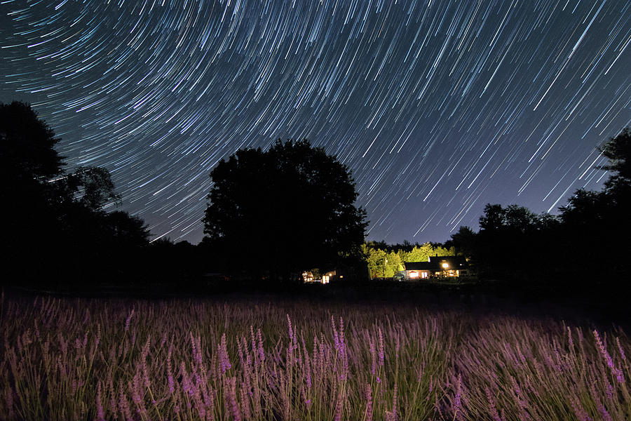 Star Trails at the Lavender Farm Photograph by Kristen Wilkinson