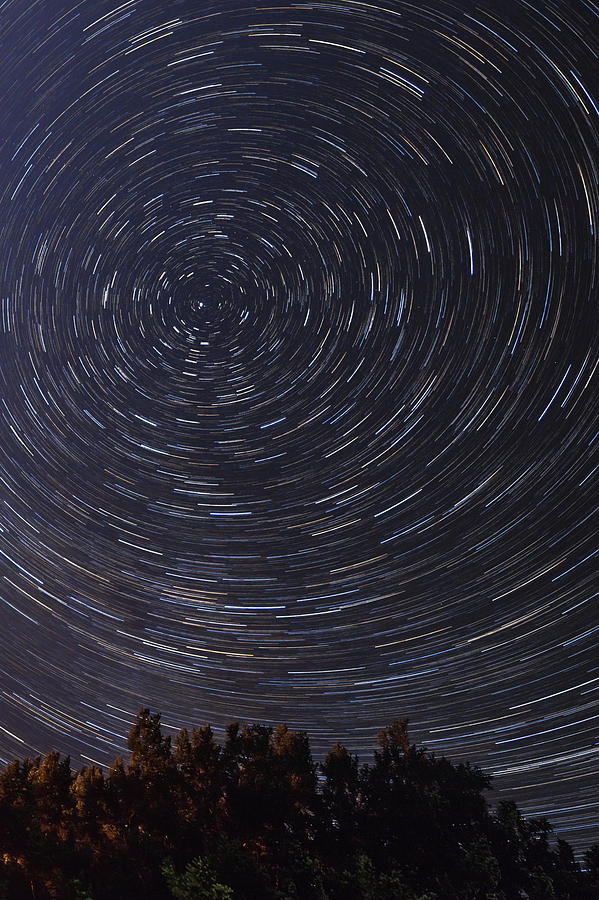 Star Trails in Oregon Photograph by Joe Kopp