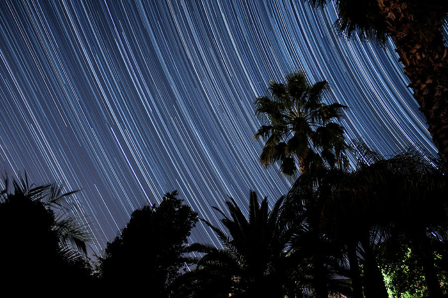 Interstellar Photograph - Star Trails in the Palms by Philip Cruden