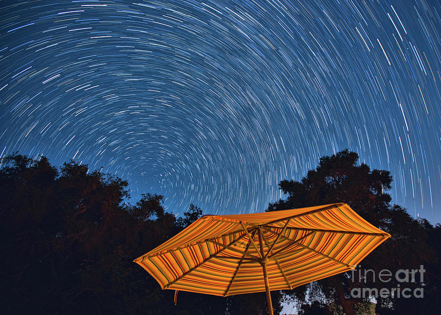 Star Trails Photograph by Mimi Ditchie