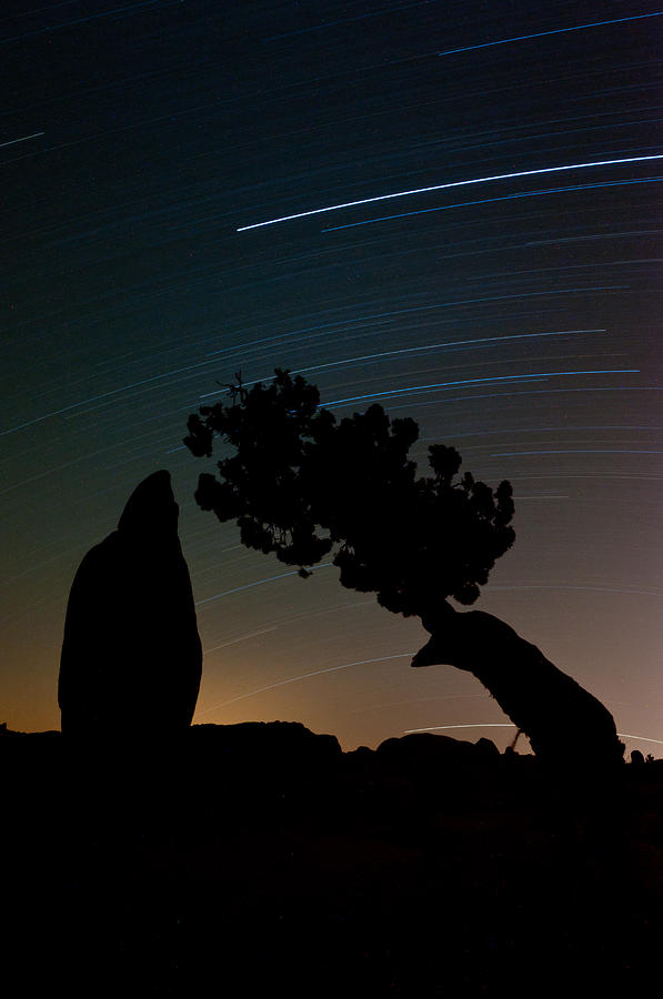 Star Trails Over Juniper and Monolith Photograph by TM Schultze