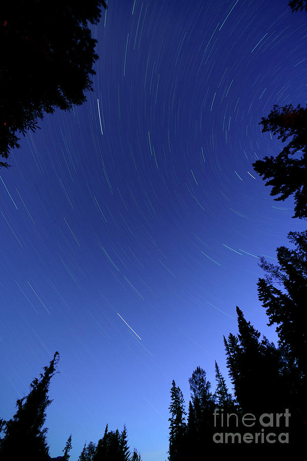 Star Trails Photograph by Terry Elniski
