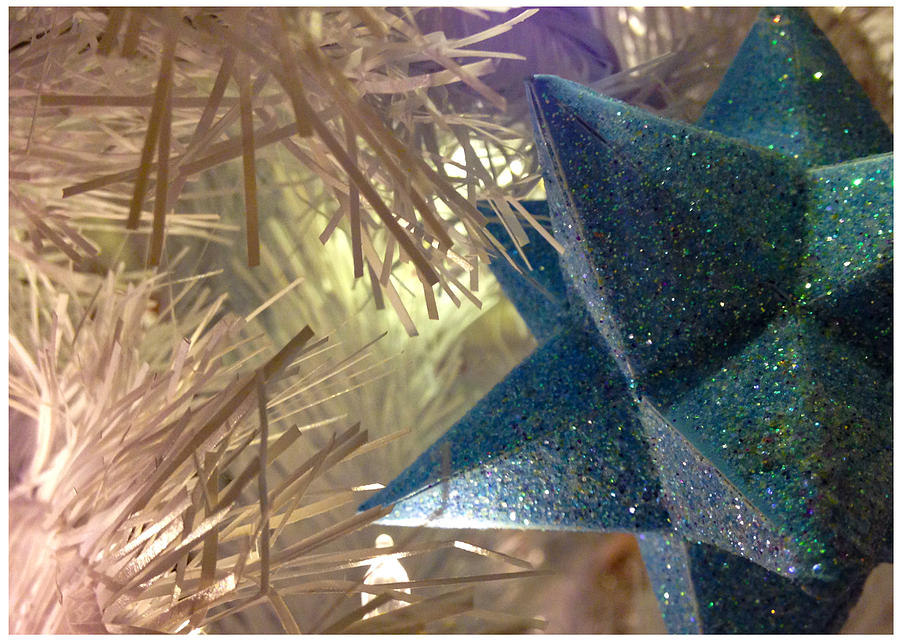 Star Tree Ornament Photograph by Stan  Magnan