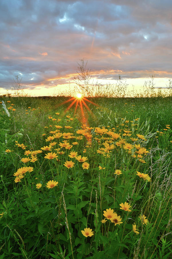 Starburst Sunrise in Glacial Park Photograph by Ray Mathis