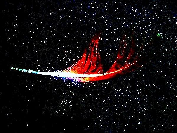 Stardust Feather  Greeting Card by Daniele Smith