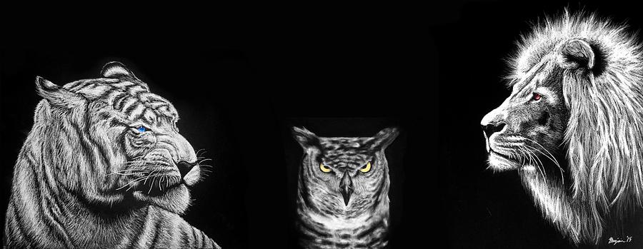 Owl Digital Art - Stare by Benjamin Gassmann