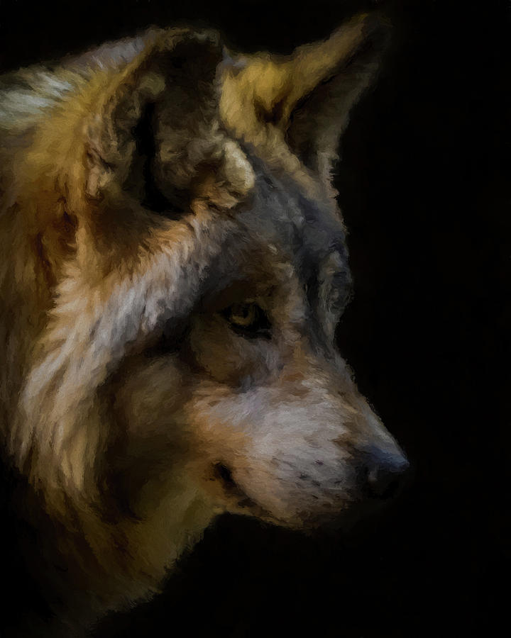 Wolf Digital Art - Stare Of The Wolf 2 by Ernie Echols Wolf Digital Art - Stare Of The Wolf 2 by Ernie Echols