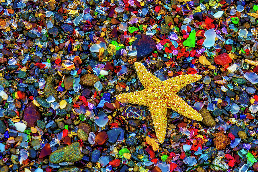 Starfish Among Sea Glass Photograph by Garry Gay