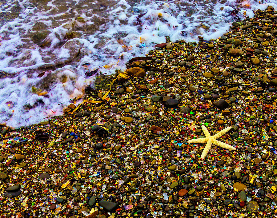 Starfish Among Stones And Sea Glass Photograph by Garry Gay