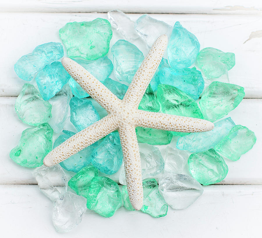 Starfish And Sea Glass Photograph
