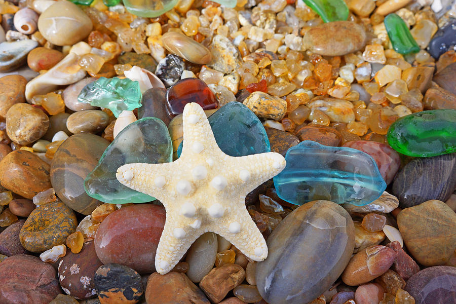 Shell Photograph - Starfish Art Prints Star Fish Seaglass Sea Glass by Patti Baslee