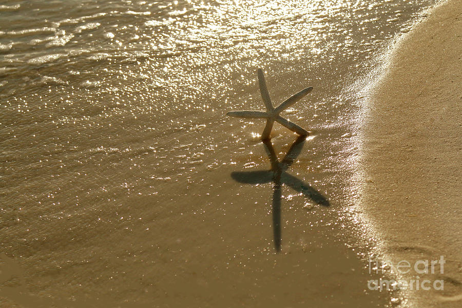 Starfish Dancing on the Beach Photograph by Luana K Perez