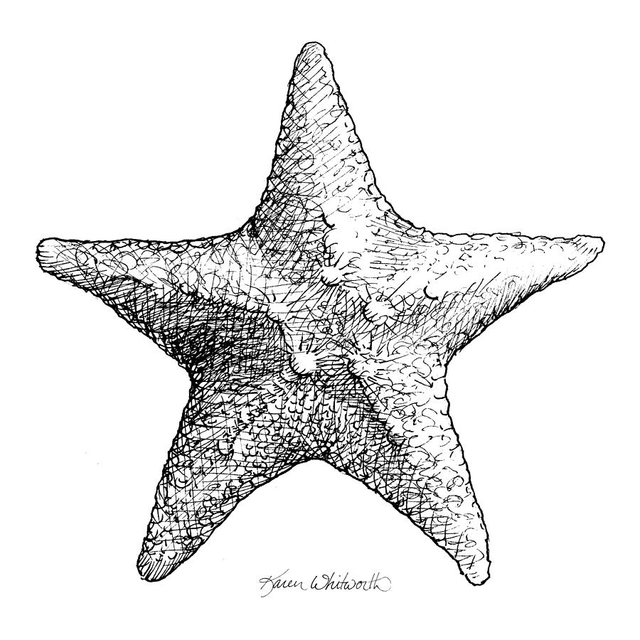 Coastal Starfish Drawing - Black and White Sea Star - Beach Decor - Nautical Art Drawing by K Whitworth