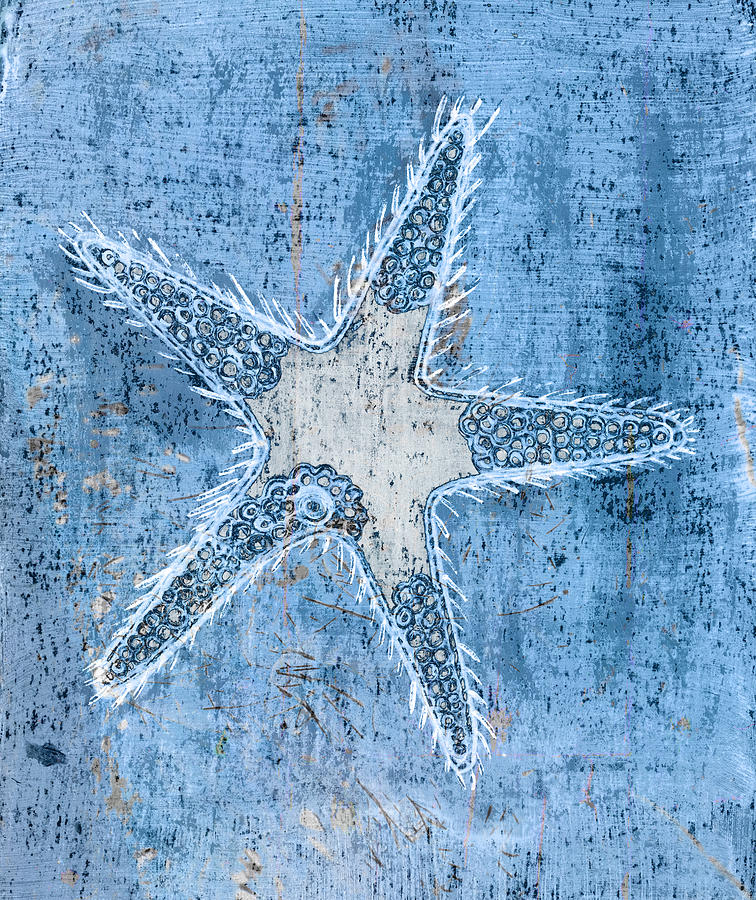 Starfish Painting by Frank Tschakert