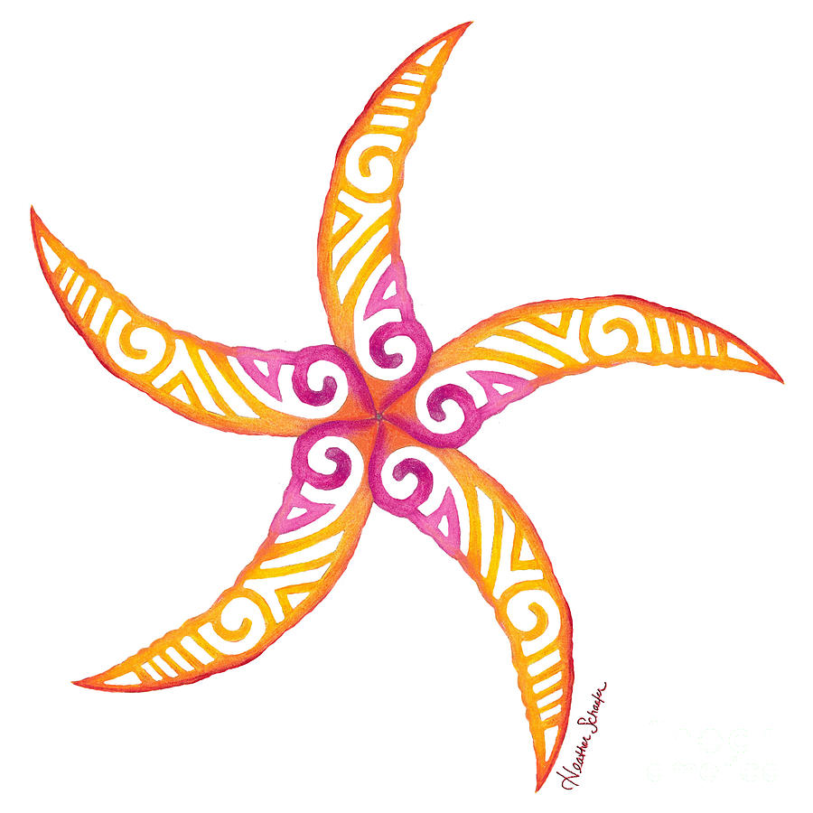 Starfish Drawing by Heather Schaefer