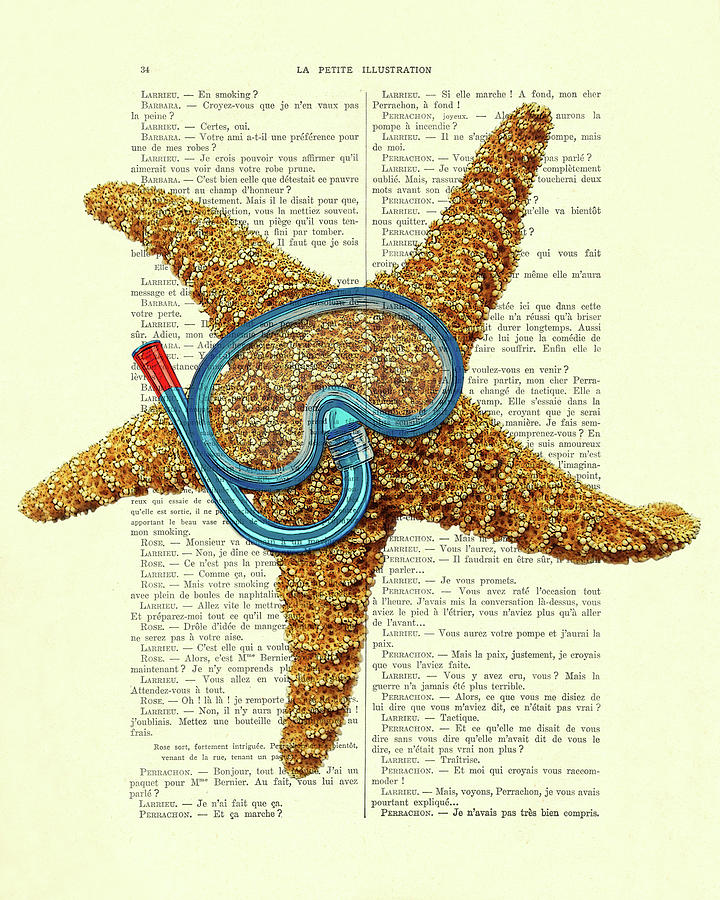 Summer Digital Art - Starfish illustration by Madame Memento
