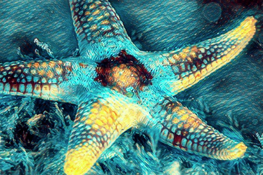 Starfish in Aqua and Gold Photograph by Debra and Dave Vanderlaan