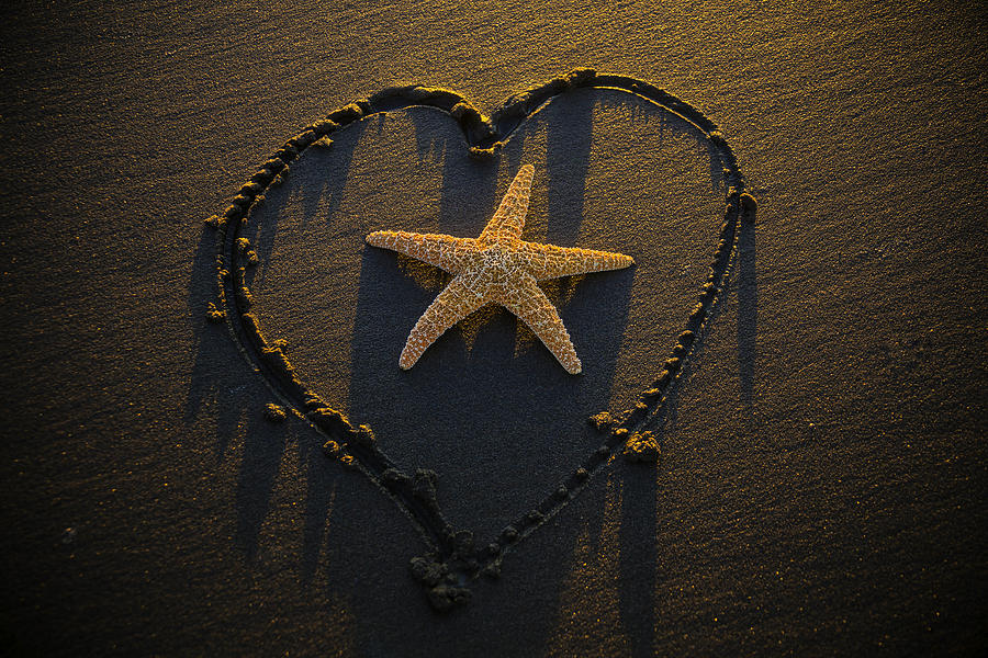 Sunset Photograph - Starfish Inside Heart by Garry Gay