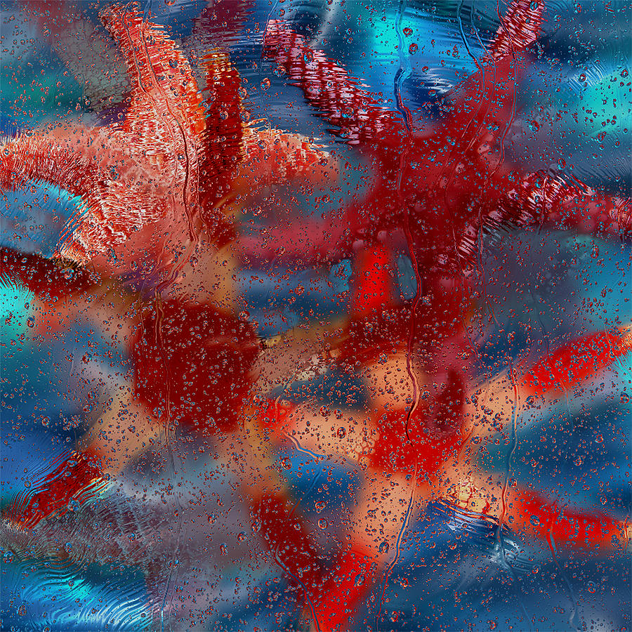 Starfish Painting - Starfish by Jack Zulli