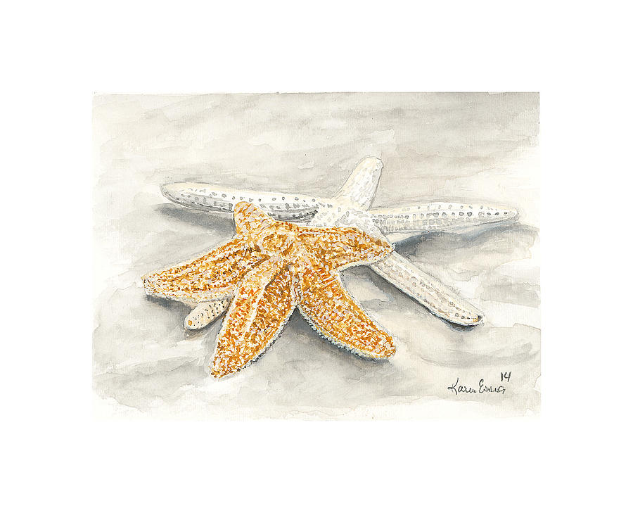 Starfish Painting by Karen Essig - Fine Art America