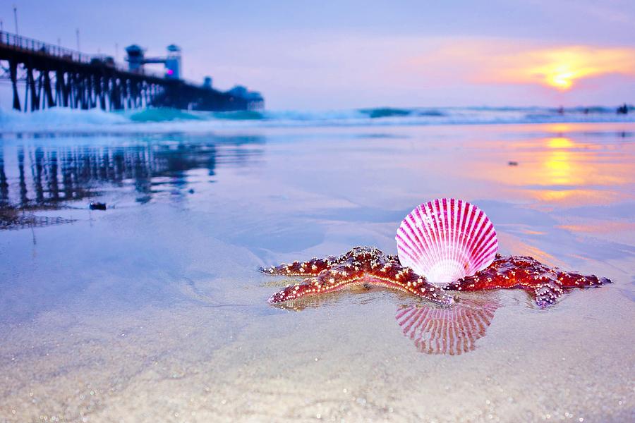 Sunset Photograph - Starfish Love by Allissa Thompson