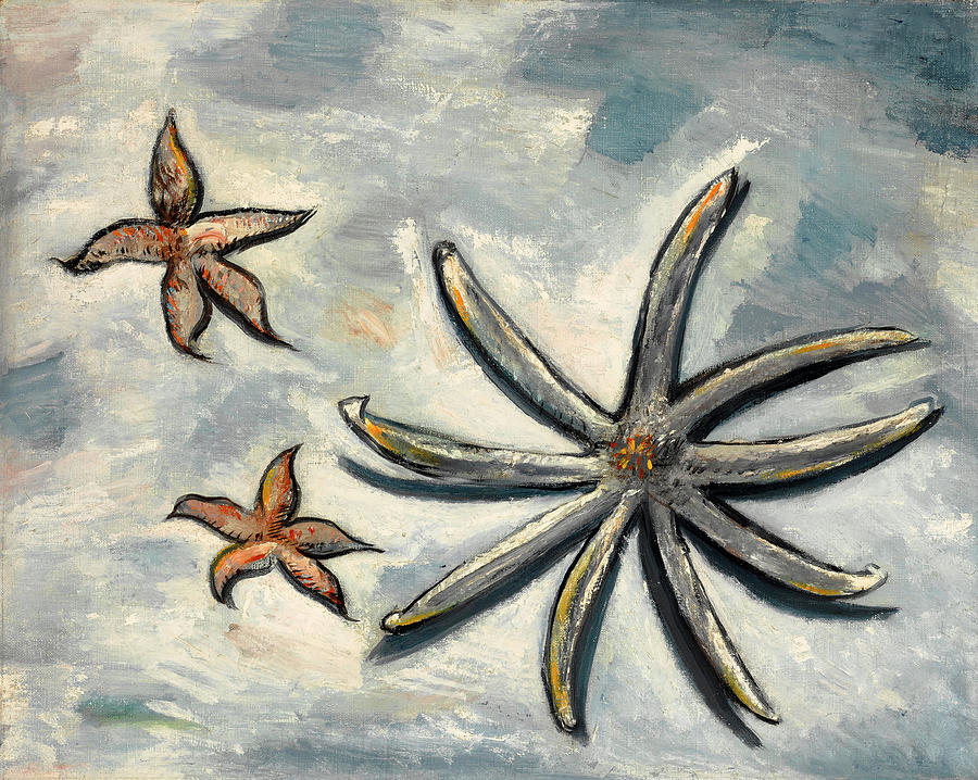 Marsden Hartley Painting - Starfish by Marsden Hartley