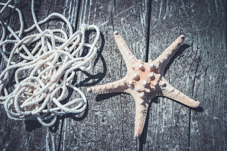 Starfish on a Dock Photograph by Colleen Kammerer