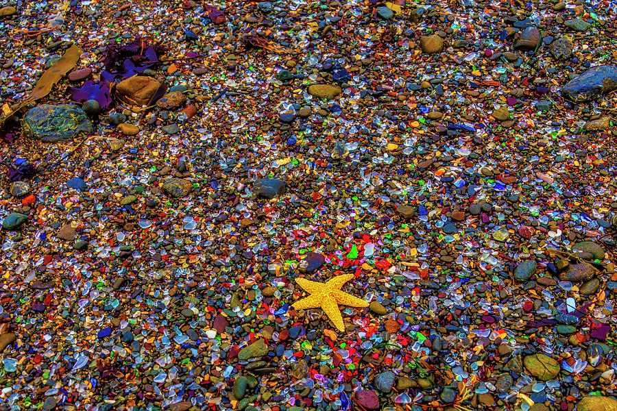 Starfish On Glass Beach Photograph by Garry Gay