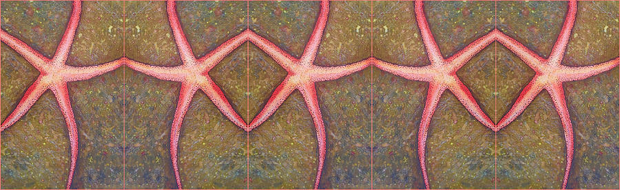Starfish Pattern Bar Mixed Media by Mastiff Studios