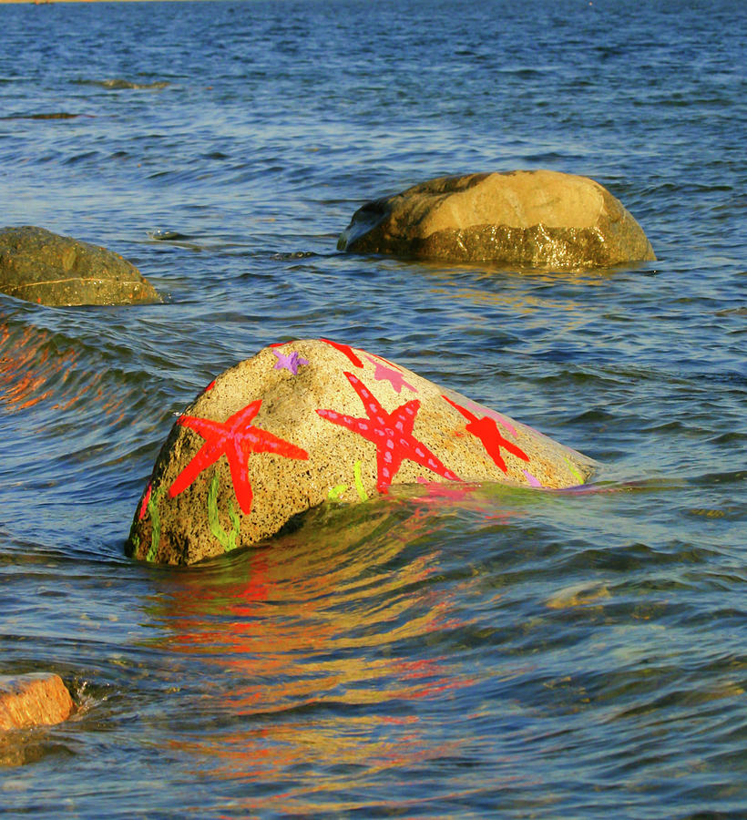 Starfish Rock by Melodie Douglas Starfish Rock by Melodie Douglas