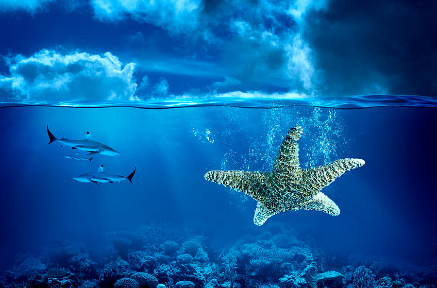 Starfish Underwater Manipulation Digital Art