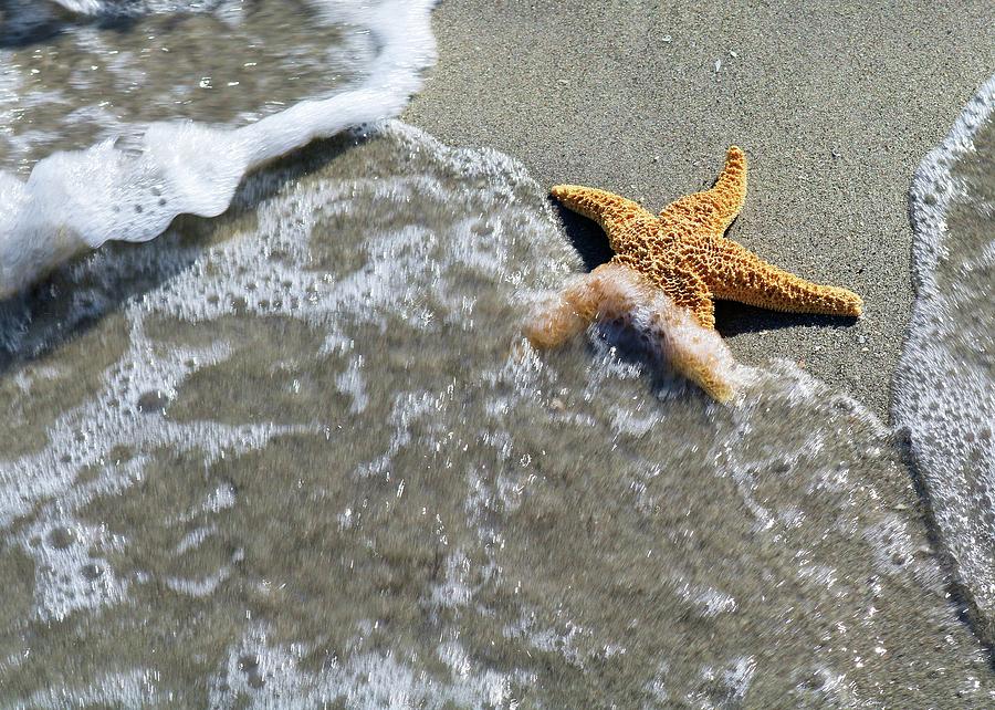 Starfish Wave Photograph by Robert Wilder Jr