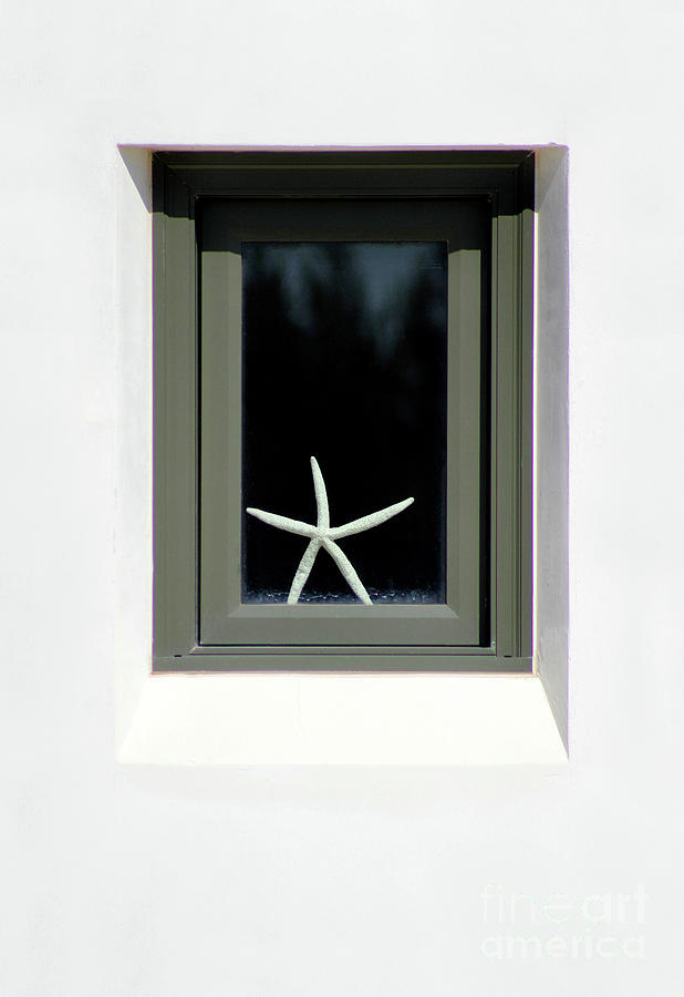 Starfish Window 2016 No. 2 Photograph
