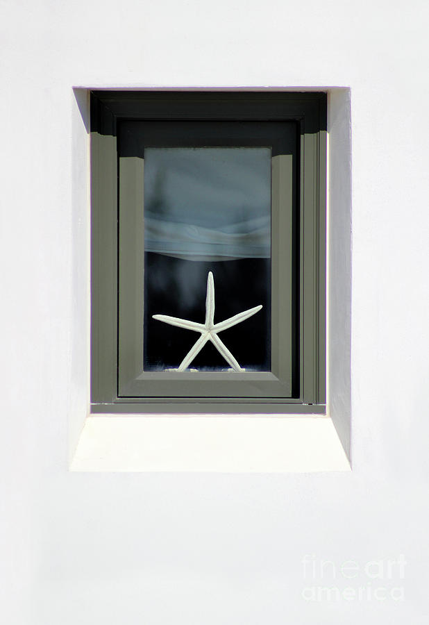 Starfish Window 2016 No. 1 Photograph by Karen Adams